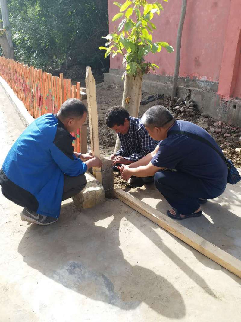 17655