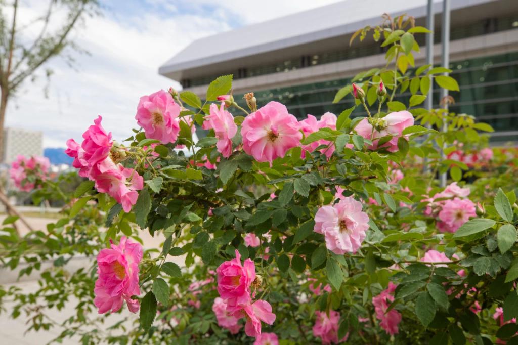 1ACEE